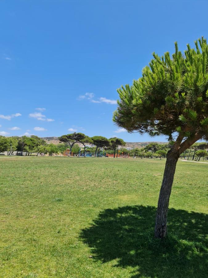 Front Beach Costa Caparica Lisbon كوستا دا كاباريكا المظهر الخارجي الصورة